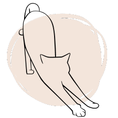 Icon Katze