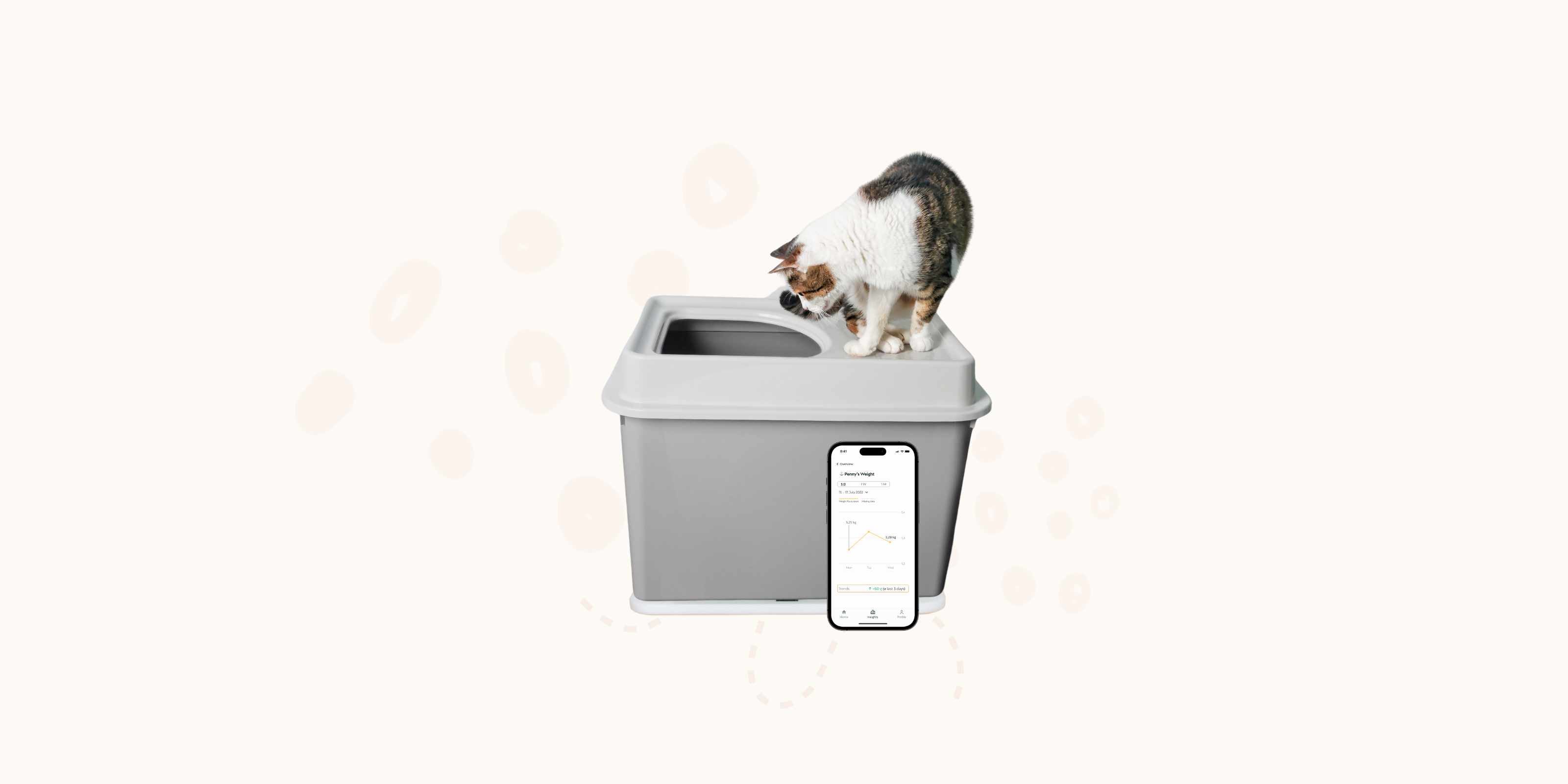 Katze betritt die Katzentoilette mit Feniska App und Base
