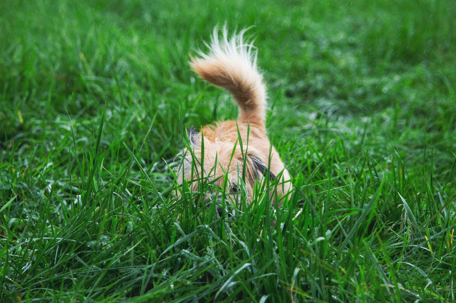 https://images.unsplash.com/photo-1603804209239-734fe90c41fe?ixid=MnwxMjA3fDB8MHxwaG90by1wYWdlfHx8fGVufDB8fHx8&ixlib=rb-1.2.1&auto=format&fit=crop&w=1506&q=80
